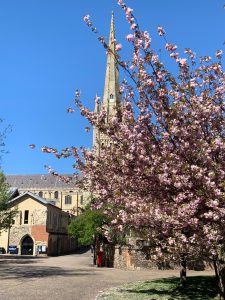 Cathedral at Spring Time